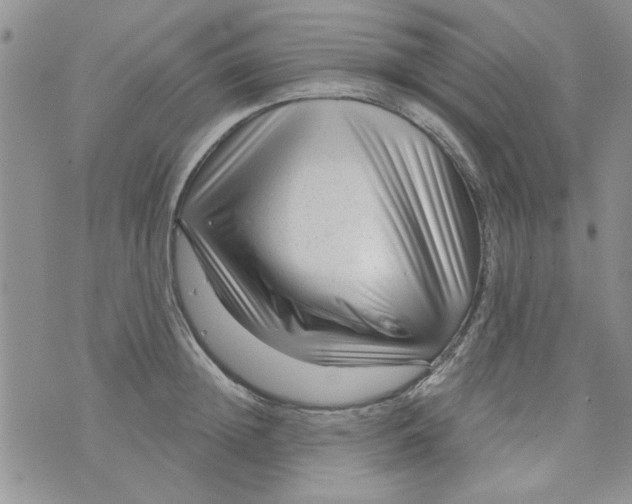 X0000073730852200608311843