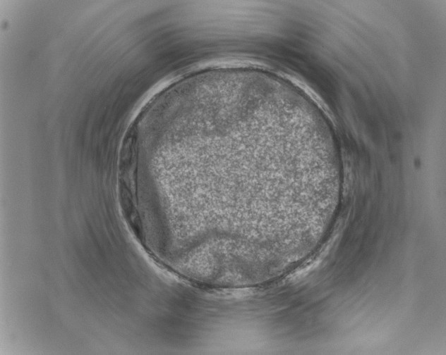 X0000073730853200608311843