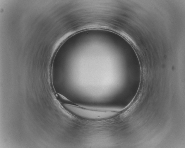 X0000073730854200608311843