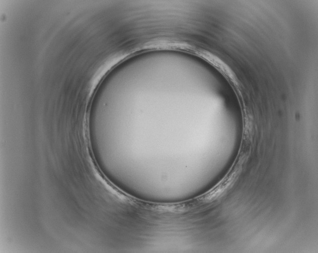 X0000073730855200608311843