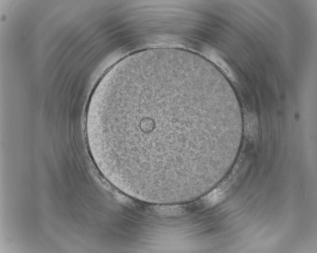 X0000073730856200608311843