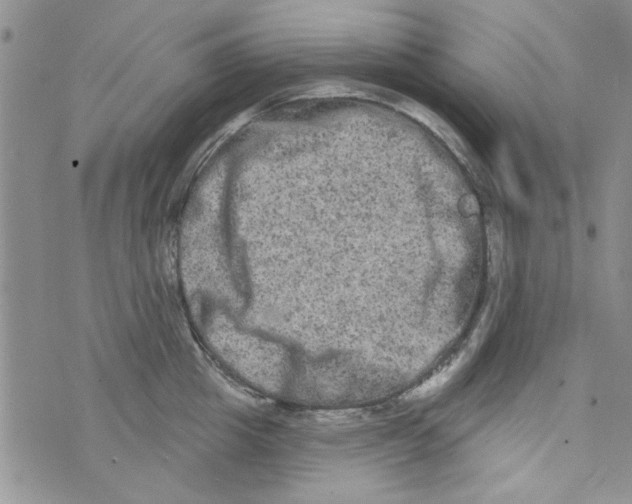 X0000073730857200608311843