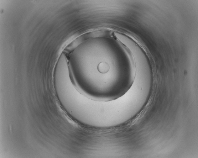 X0000073730858200608311843