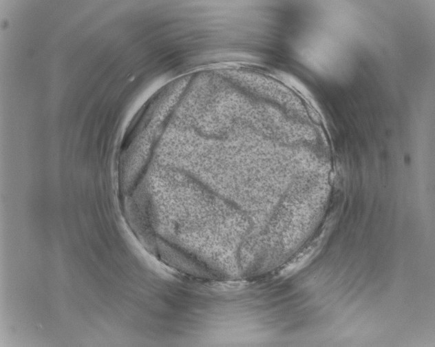 X0000073730859200608311843