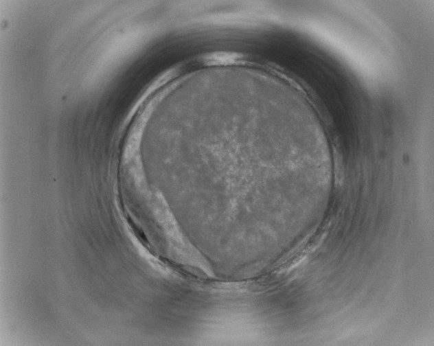 X0000073730861200608311843