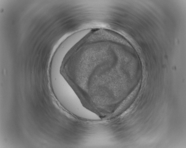 X0000073730864200608311843