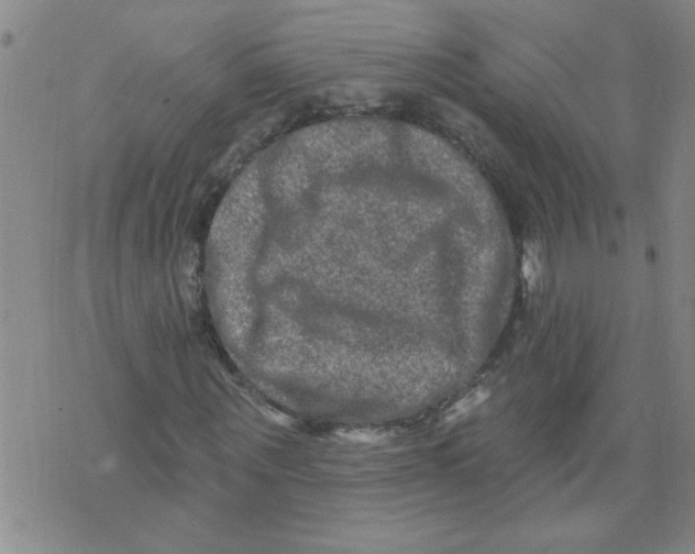 X0000073730867200608311842