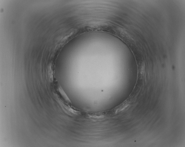 X0000073730868200608311842