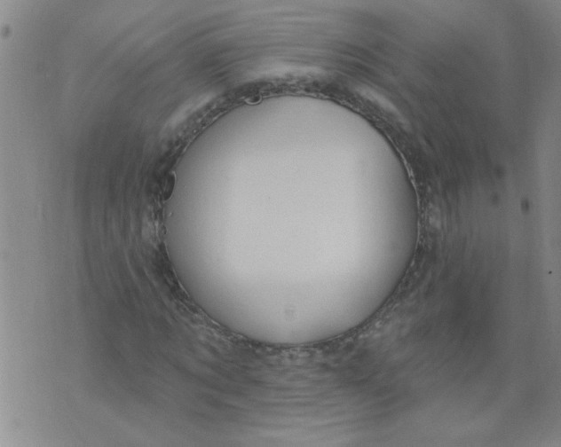 X0000073730869200608311842