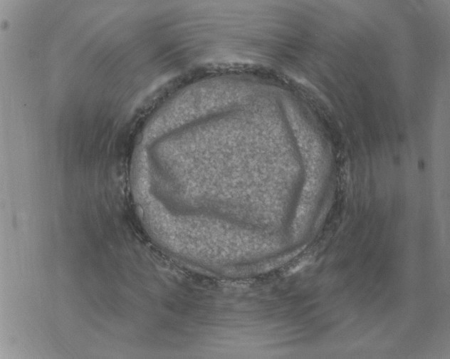 X0000073730870200608311842