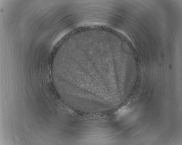 X0000073730871200608311842