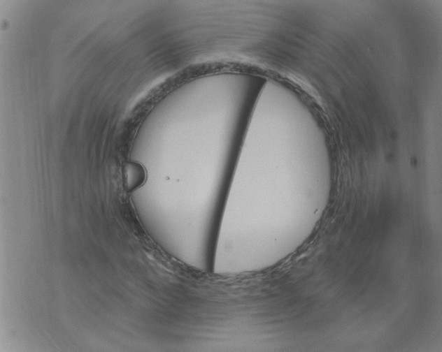 X0000073730872200608311842