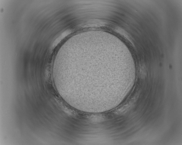 X0000073730874200608311842