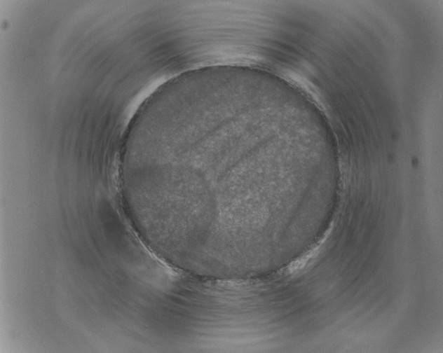 X0000073730875200608311842