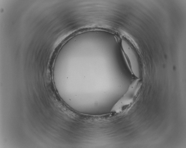 X0000073730876200608311842