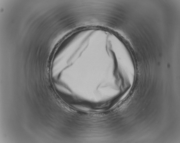 X0000073730879200608311842