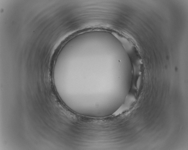 X0000073730880200608311842