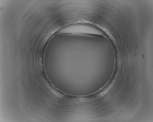 X0000073730881200608311842