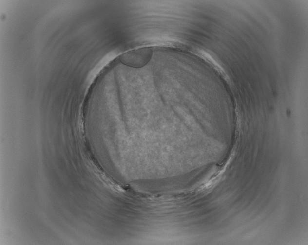 X0000073730883200608311842