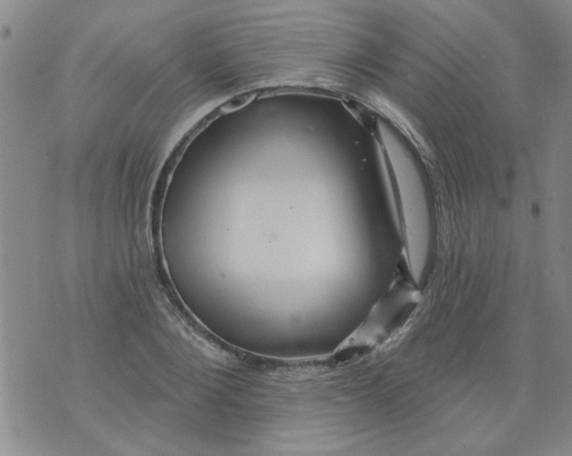 X0000073730884200608311842