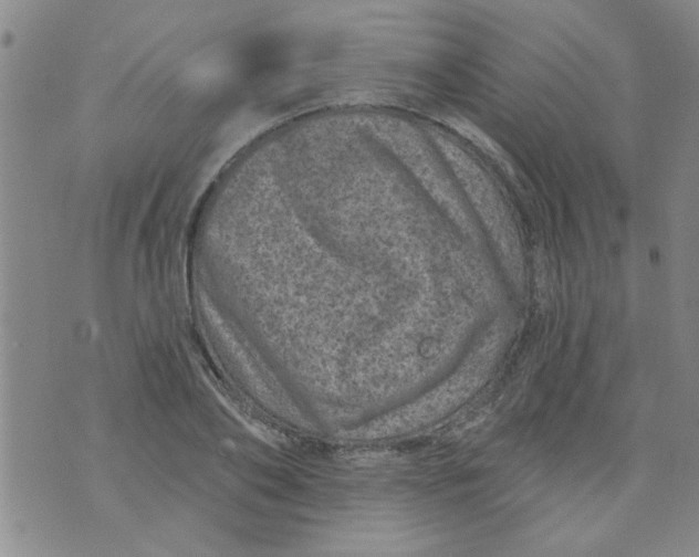 X0000073730886200608311842