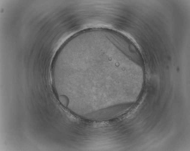 X0000073730887200608311842