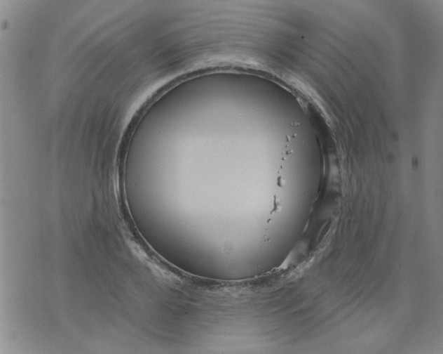 X0000073730888200608311842