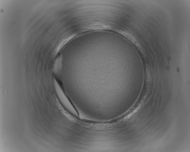 X0000073730889200608311842