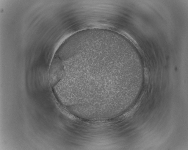 X0000073730891200608311842