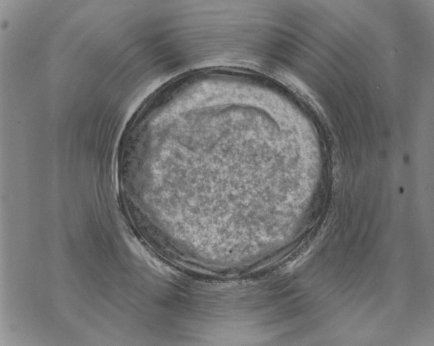 X0000073730892200608311842