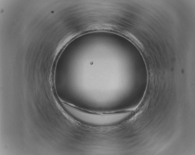 X0000073730893200608311842