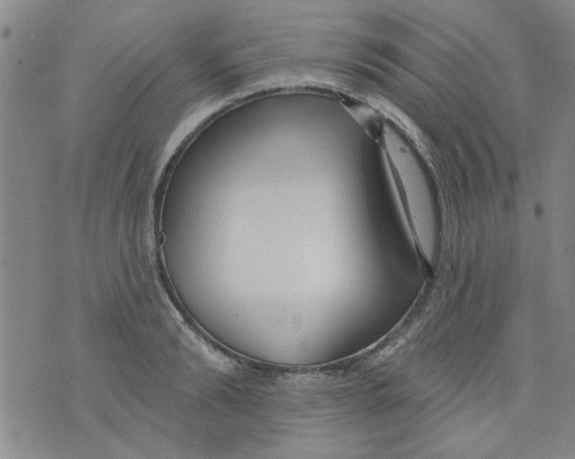 X0000073730894200608311842