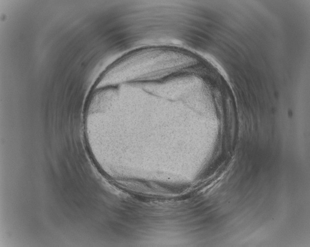 X0000073730895200608311842