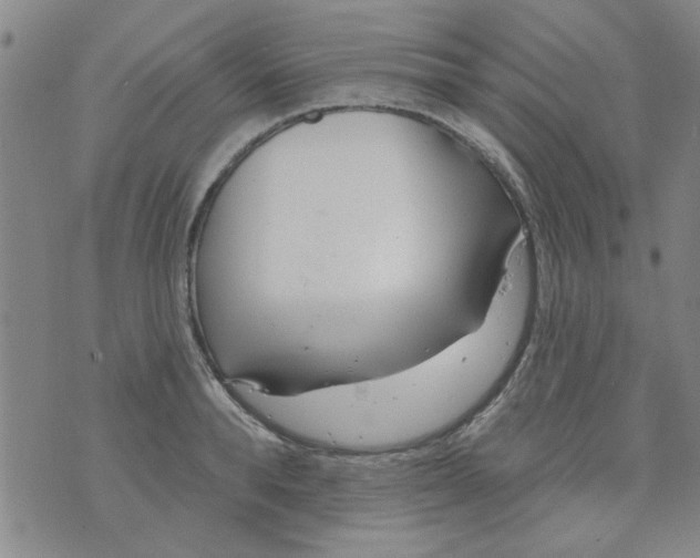 X0000073730896200608311842