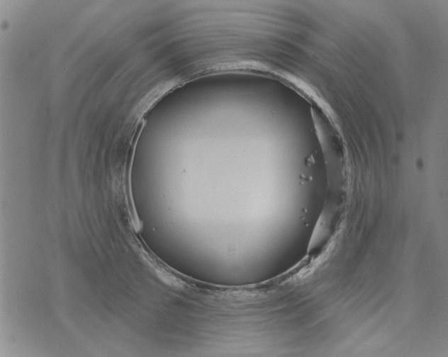 X0000073730897200608311842