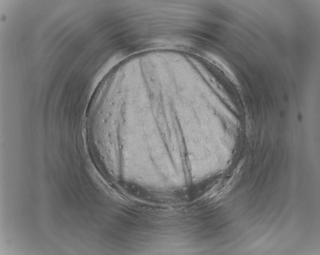 X0000073730899200608311842