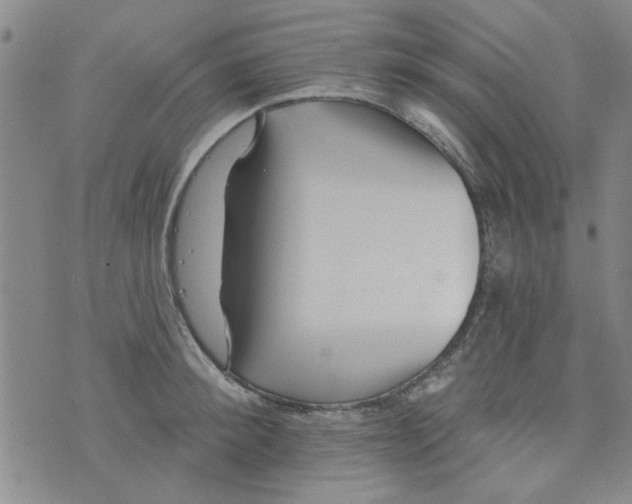 X0000073730900200608311842