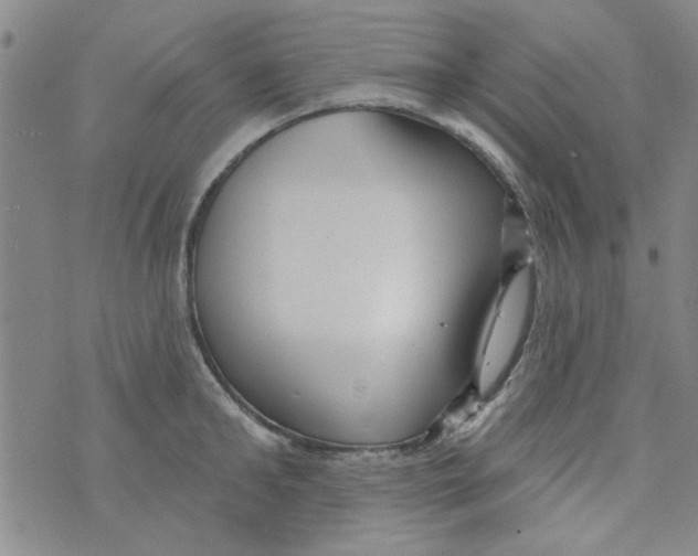 X0000073730902200608311842