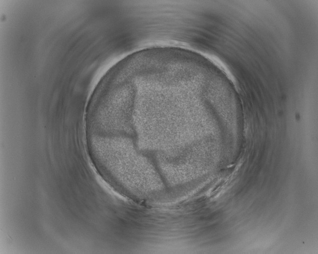 X0000073730903200608311842