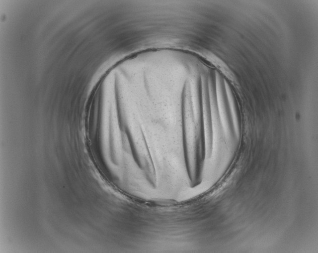 X0000073730904200608311842