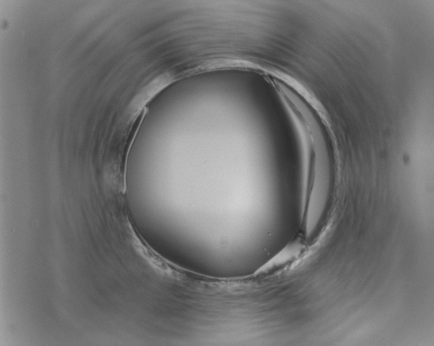 X0000073730905200608311842