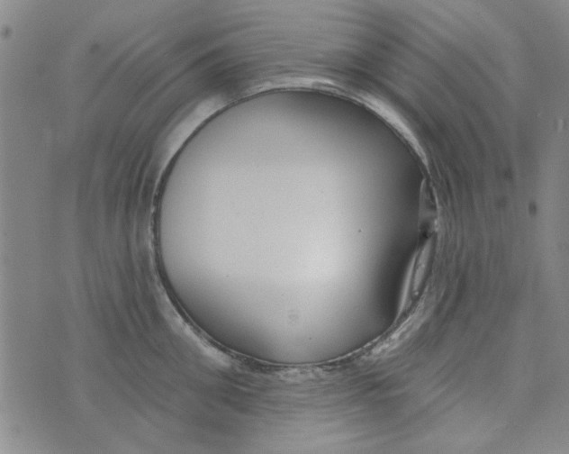 X0000073730906200608311842