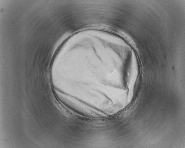 X0000073730907200608311842