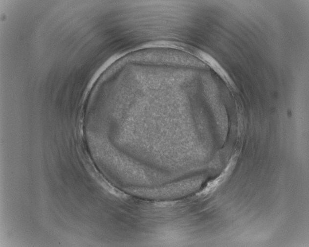 X0000073730908200608311842