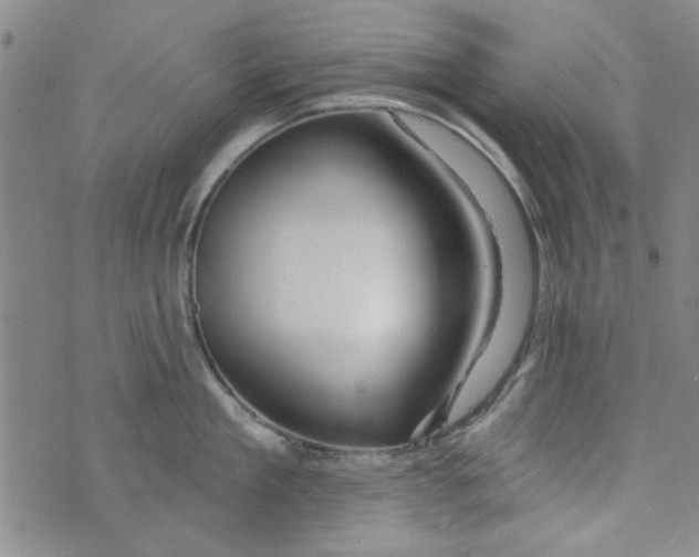 X0000073730909200608311842