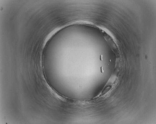 X0000073730910200608311842