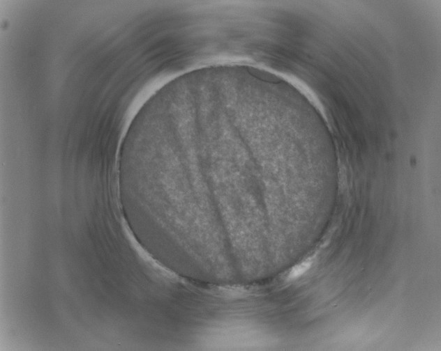 X0000073730911200608311842