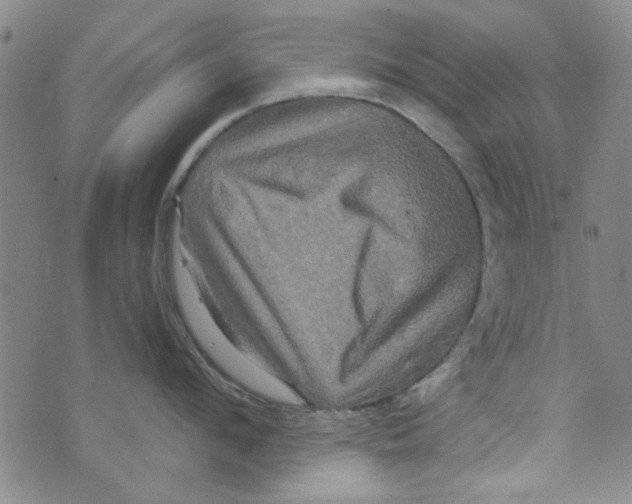 X0000073730912200608311842