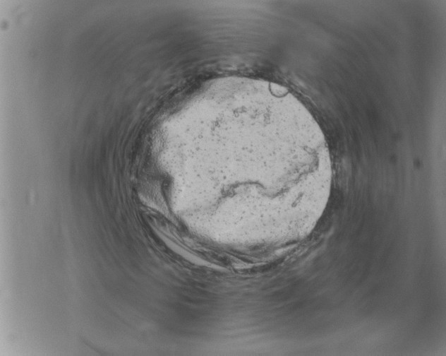 X0000073730913200608311841