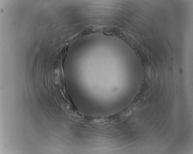 X0000073730914200608311841